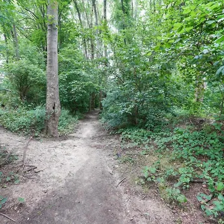 Beautiful Near Recreational Facility Holiday home