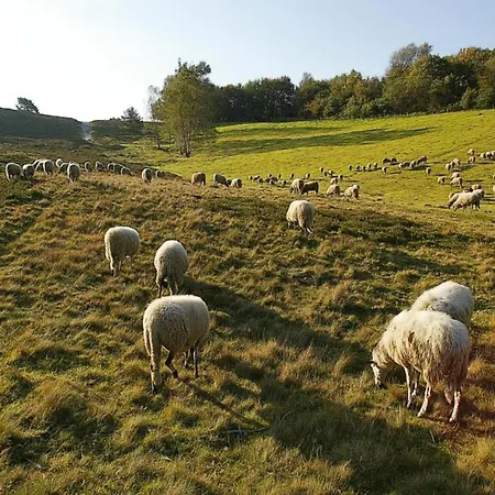 Dom wakacyjny Beautiful Near Recreational Facility Landgraaf