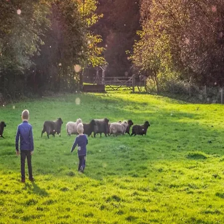 Beautiful Near Recreational Facility Landgraaf