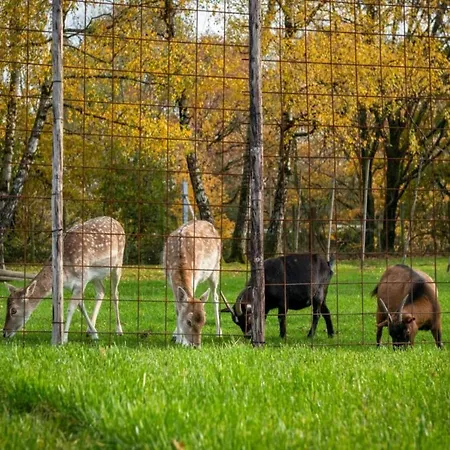 Beautiful Near Recreational Facility Dom wakacyjny *