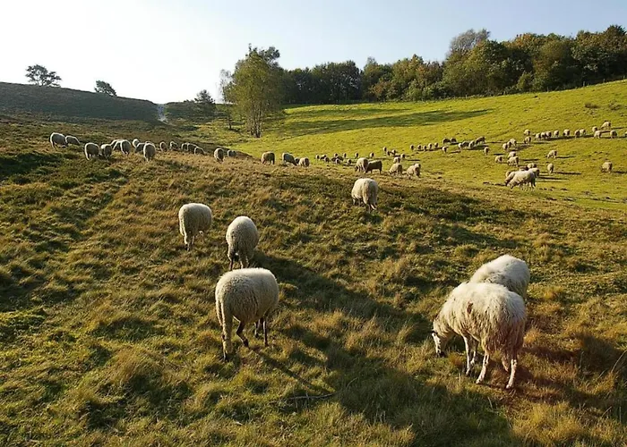 بيت للعطل Beautiful Near Recreational Facility لاندخاف