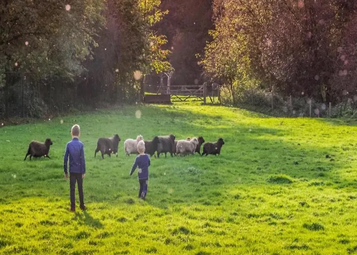 Beautiful Near Recreational Facility Landgraaf